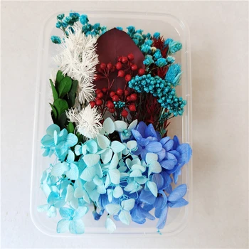 1 Cutie de Real, Flori Uscate, Plante Uscate pentru Aromoterapie Lumânare Epoxidice Rășină Pandantiv Colier Bijuterii de Luare de Artizanat DIY Accesorii