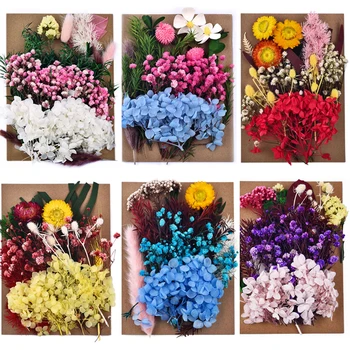 DIY Flori Uscate Flori Reale Relief UV Epoxidice Mucegai Silicon Umpluturi Unghii Machiaj, Decor Acasă Meserii