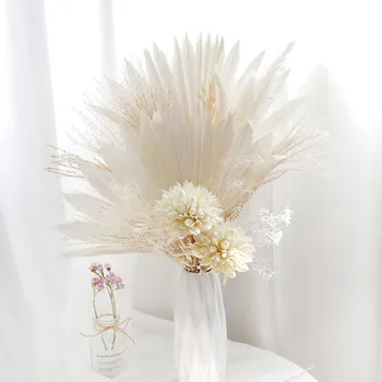 Iarbă de Pampas Frunze de Palmier Uscate Naturale de Flori de Magnolie Mingea Buchet de flori Pentru Ziua Mamei Petrecere de Nunta Decor de Crăciun Pentru Hom