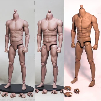 JXtoys S01 S02 S03 Scara 1/6 din Asia Puternic Umăr la nivel Muscular Corpul cu 5 Perechi de Mâini Model de 12 inch de Acțiune Figura